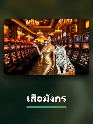 โต๊ะเสือมังกรในห้องคาสิโนของ MK8